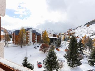 Studio familial au pied des pistes, animaux acceptés - FR-1-811-6 - Les Deux Alpes - 4