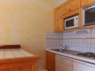 Studio 4 pers, animaux admis, au pied des pistes - FR-1-811-31 - Les Deux Alpes - 8