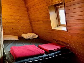 Duplex sous les toits, pied des pistes, animaux admis - FR-1-811-37 - Les Deux Alpes - 1