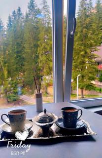 Apartman Bn Vlasic - Vlasic - 7