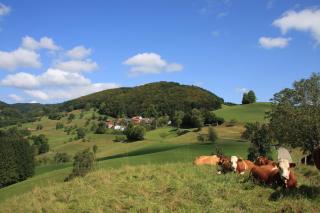 Ferienwohnung 'auf dem Burstel' - Kleines Wiesental - 3