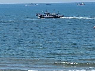 수염고래언덕 - 1