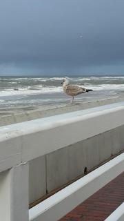 Apartment-404-Seemoewe - Westerland - 2