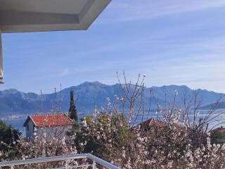 Mimoza Garden Apartments - Ðenovići - 8