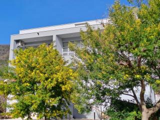Mimoza Garden Apartments - Ðenovići - 0