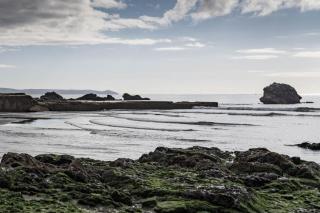 Pet Friendly Sea view Villa Millendreath Looe - Looe - 9