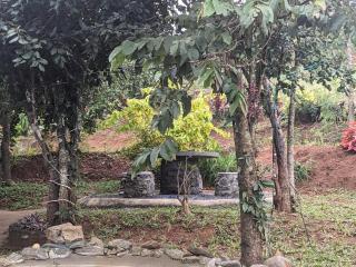 Spirit of the Wild Eco Village - Palakkad - 9