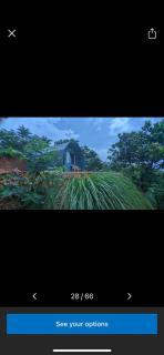 Spirit of the Wild Eco Village - Palakkad - 3