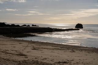Pet Friendly Sea view Villa Millendreath Looe - Looe - 2