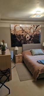 A Cozy Affordable Place at Voula - Atene - 9