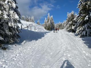 Chalet am Berg Turracher Höhe Natur & Ski - 3