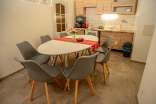 Grand apartment near Dancing House - Prague - 2