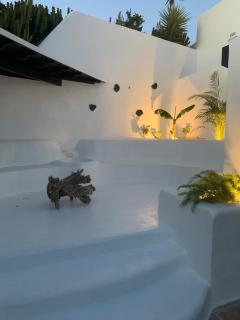 Casa Hoopoe - Nazaret - 1