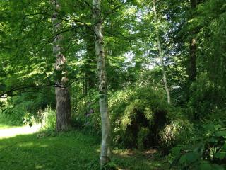 Domaine De Chantemerles - Fontainebleau - 5
