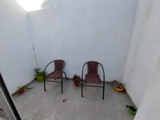 El Viejo Nogal - Oliva - 3