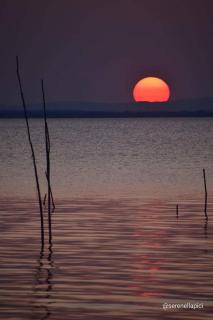 Chalet sul Trasimeno - Sant Arcangelo - 2