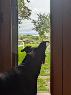 Chalet sul Trasimeno - Sant Arcangelo - 7