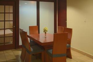 Zona Centro, espacioso, facturamos, acceso privado - 0