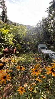 hotel bachi - Gonio - 0