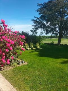 Gîte Belle Fleur 6 personnes- Vosges - 8