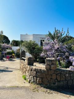 Cinque Tomoli - Ventotene - 7