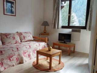Chamonix - 2 Pièces avec parking et animaux admis - FR-1-517-18 - Chamonix-Mont-Blanc - 6
