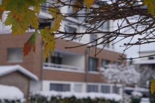 Direkt am See - Bodenseeresidenz in Bodman - Bodman-Ludwigshafen - 1