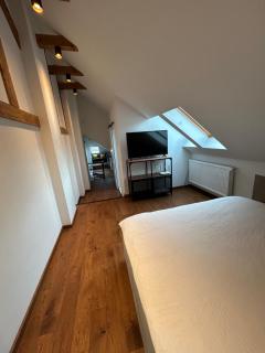 The nest - Braşov - 5