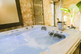 Gite romantique avec Sauna, Spa, Home cinéma -La Closerie du Biard- - Beaumont-du-Périgord - 7