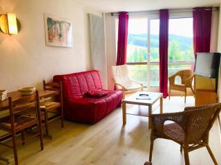 Résidence Les Arolles - Jolie deux pièces pied des pistes MAE-3564 - Villard-de-Lans - 9