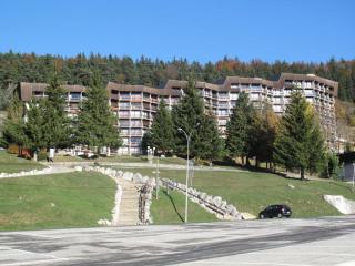 Résidence Les Arolles - Très joli deux pièces rénové pied des pistes MAE-3704 - Villard-de-Lans - 3