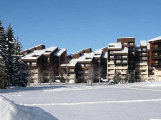 Résidence Tiolache - Appartement au départ des pistes de ski de Corrençon en Vercors MAE-4034 - 2