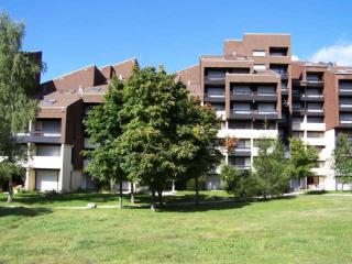 Résidence Tiolache - Studio au départ des pistes MAE-4094 - Corrençon-en-Vercors - 1