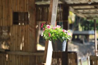 Home Style Resort - 5