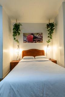 Hospedaje Gran Imperial - 1