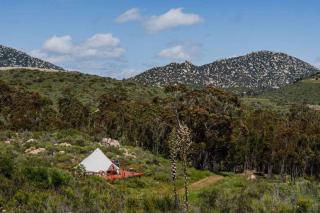 Natures Nest - Poway - 3