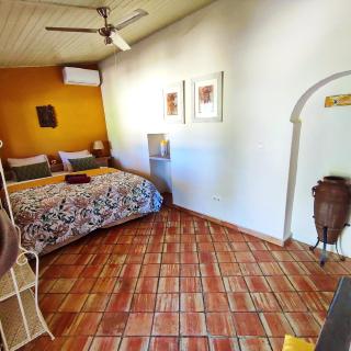 Quinta Pereiro Tropic Garden, Algarve - 3