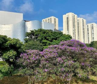 2809 Studio Maia Funcional e Aconchegante - 4