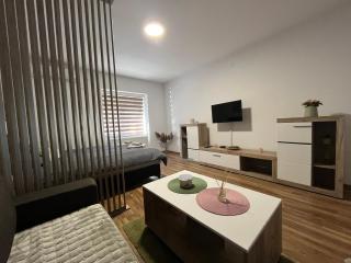 Vlasic Apartmani HANA - Vršac - 7