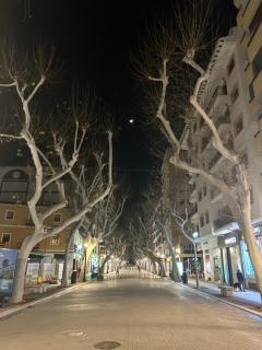 Jardines de Las Marinas - Denia - 9