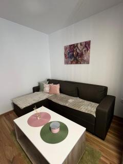 Vlasic Apartmani HANA - Vršac - 8