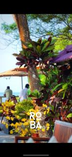 ROBA- BeachCafe & LuxuryStay - Kannur - 3