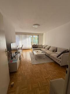 Eurovision Apartment Basel Zentral & Komfortabel - Basilea - 3