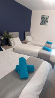 Comfortable 2-Bed Flat, Free Parking, near Excel - Londra - 0