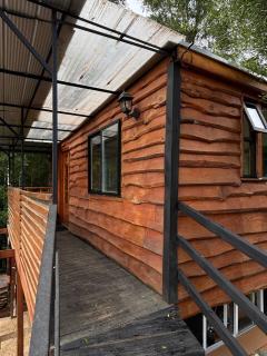 Cabaña del bosque-Forest Cabin - Valdivia - 0