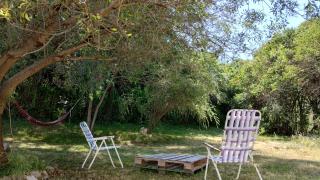 Sol de la cumbre - 8