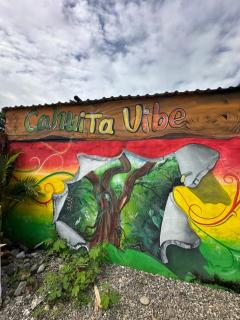 Cahuita Vibe - Cahuita - 6