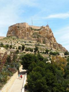 cactus - Alicante - 1