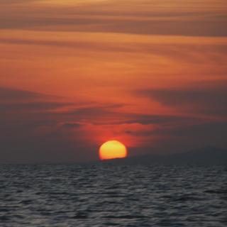 Patrick's on the Beach Resort - General Luna - 5