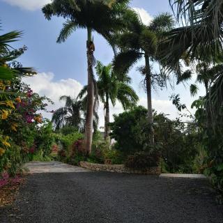 La maison d'Andréas - Le Gosier - 9